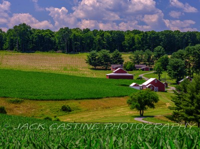  2022 06 25 - Farm - Frederick County, Maryland 
