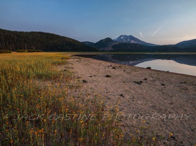  2021 08 12 - West Sparks Lake Flowers - Willamette National Forest - Oregon 