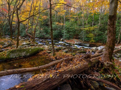  2021 11 03 - Middle Prong Little River - Smoky Mountains NP, Tennessee 