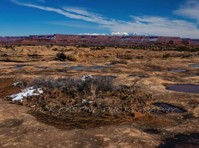  2019 02 24 - La Sal Mountains - Pothole Point - Needles Section Canyonlands NP - Moab, UT 