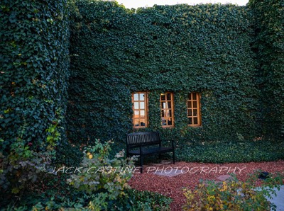  2019 11 24 - Courtyard Garden - Page, AZ 