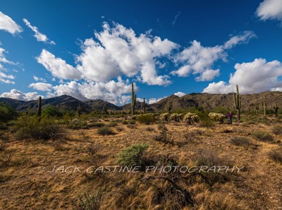  2019 11 29 - Sonoran Loop - White Tank Mountain Regional Park - Waddell, AZ 