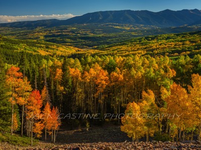  2018 09 22 - Kebler Pass Fall Colors - Crested Butte, CO 