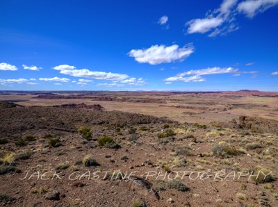  2023 02 24 - Little Lithodendron Wash from Pintado Point  - Petrified Forest NP, Arizona 