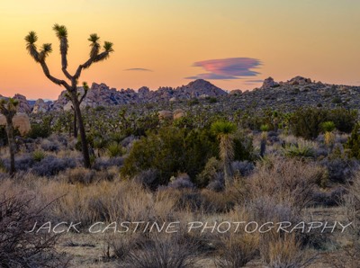  2023 02 26 - Sunset and Lenticular Clouds - Joshua Tree NP, California 