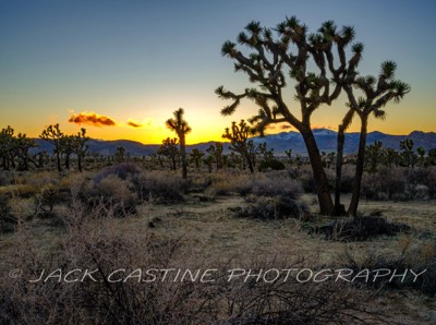  2023 02 26 - Sunset - Joshua Tree NP, California  