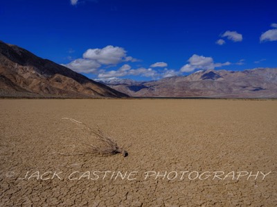  2023 02 27 - Clark Dry Lake - Anza-Borrego Desert St Pk, - Borrego Springs, California 