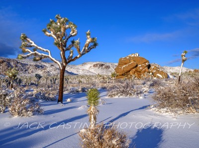  2023 03 01 - Blizzard Aftermath - Queen Valley - Joshua Tree NP, California 1 