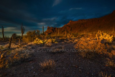  2018 03 03 - Sunset - Alamo Canyon - Organ Pipe Cactus National Monument - Ajo, AZ 