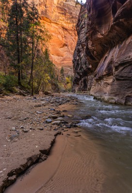  2016 11 09 - The Narrows of the Virgin River - Zion NP,  Springdale, UT 