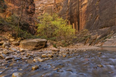  2016 11 09 - The Narrows of the Virgin River - Zion NP,  Springdale, UT 