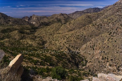  2018 03 07 - Thimble Peak Vista - Mt. Lemmon, AZ  