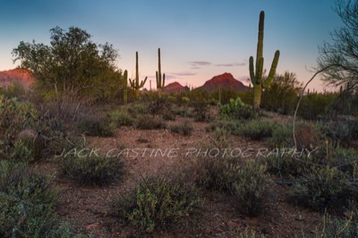  2018 03 06 - Tuscon Mountains fron the Brown Mountain Trail - Saguaro National Park - Tuscon, AZ 