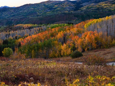  2018 09 21 - Fall Color - Buffalo Mountain Pass - Steamboat Springs, CO 