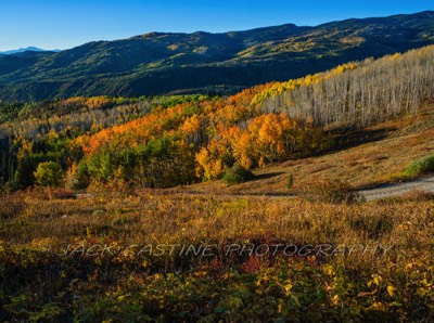  2018 09 21 - Fall Color - Buffalo Mountain Pass - Steamboat Springs, CO 