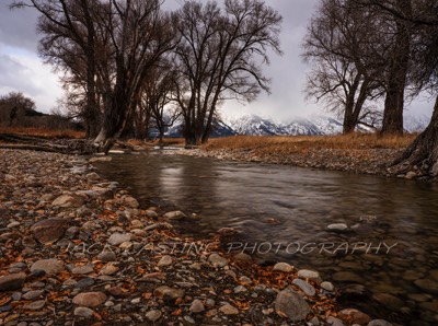  2018 11 03 - Ditch Creek and the Grand Tetons - Moose, WY 