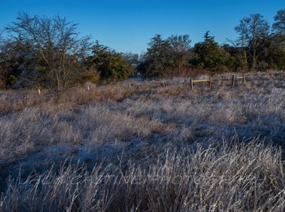  2022 02 04 - Ice Storm - Anna, Texas 