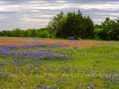  2023 04 22 - Tractor and Wildflowers on Ranch - Ellis County, Texas 
