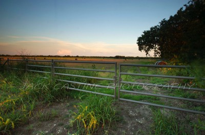  2016 09 05 - North Texas Ranch - Collin County, TX 
