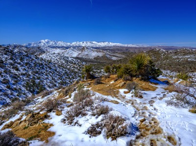  2023 03 02 - Hi-View Trail Pinnacle - Joshua Tree NP, California  