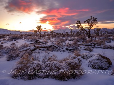  2023 03 01 - Snow and Sunset - Lost Horse Valley - Joshua Tree NP, California 