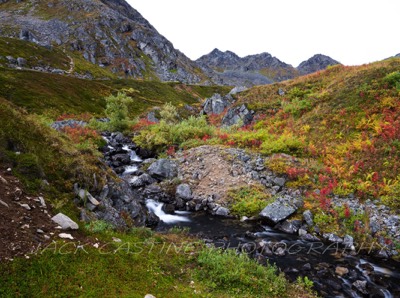  2021 09 03 - Fishook Creek - Independence Mine State Historical Park - Palmer, Alaska 