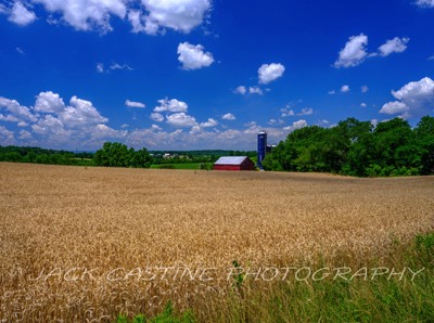  2022 06 25 - Detrick Road Farm - Mt. Airy, Maryland 