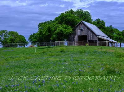  2023 04 22 - Bluebonnets on Ranch - Ellis County, Texas 