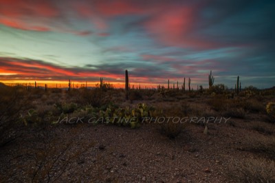  2018 03 03 - Sunset - Alamo Canyon - Organ Pipe Cactus National Monument - Ajo, Arizona 
