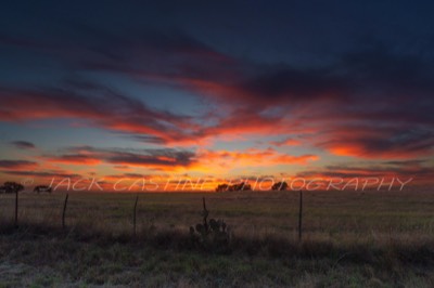  2016 11 24 - Sunset on Ranch - Gillespie County, Texas 