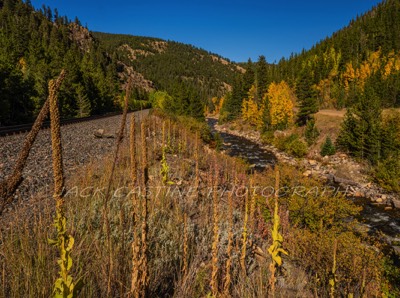  2018 09 15 - South Boulder Creek and CO 16 - Rollinsville, Colorado 