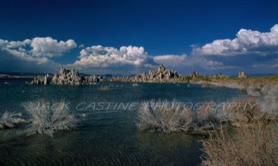  1998 06 - Mono Lake - Lee Vining, California 