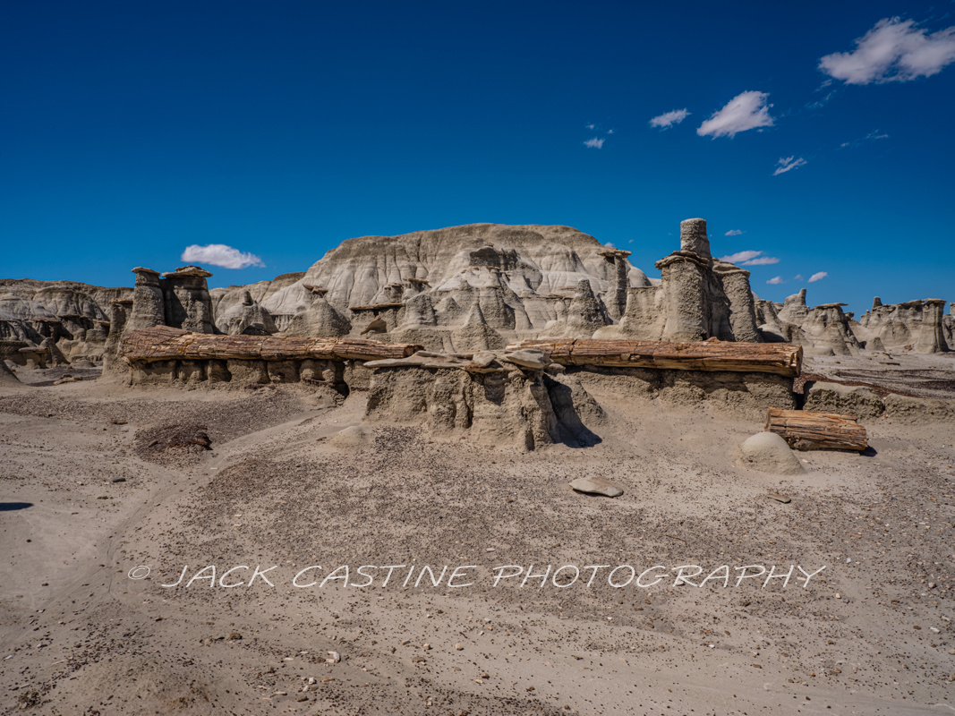 2019 09 21 - Petrified Wood and Hoodoos - Bisti De Na Zin Wilderness - Bloomfield, New Mexico 