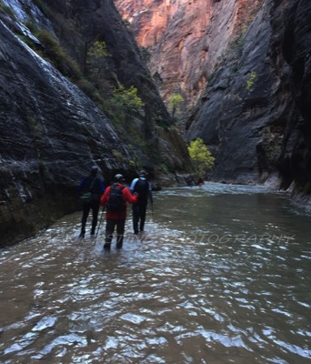  2016 11 09 - The Narrows of the Virgin River Hike - Zion NP,  Springdale, UT 