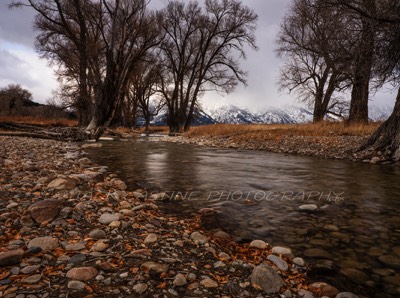  2018 11 03 - Ditch Creek and the Grand Tetons - Moose, WY  
