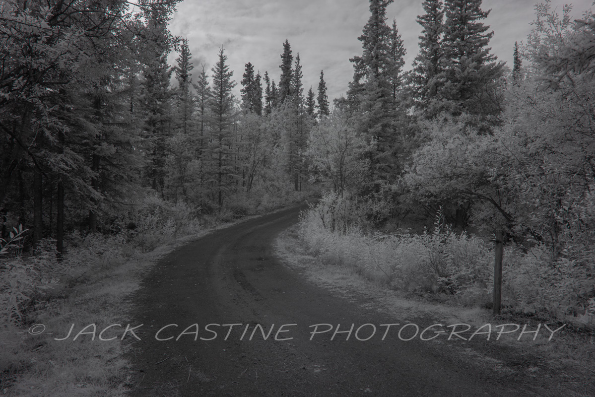  2021 09 02 - King Mountain State Recreation Area - Chickaloon, Alaska - 850 nm IR 