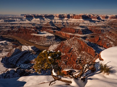  2019 02 23 - Dead Horse Point St Park - Moab, UT 