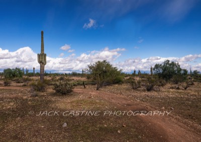  2019 11 29 - Saugaro - Sonoran Loop - White Tank Mountain Regional Park - Waddell, AZ 