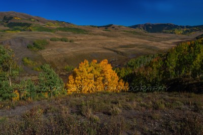  2015 08 18 - East River from Gothic Road - Crested Butte, CO 