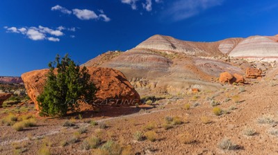  2016 11 06 - Juniper and Redrock - Pariah Town Site - Kanab, UT 