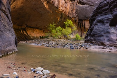  2016 11 09 - The Narrows of the Virgin River - Zion NP,  Springdale, UT 