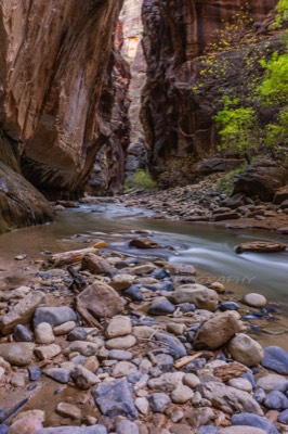  2016 11 09 - The Narrows of the Virgin River - Zion NP,  Springdale, UT 