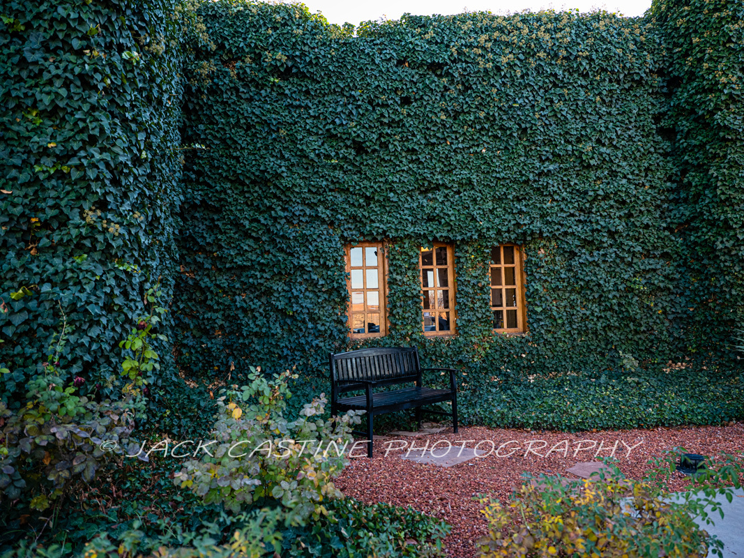  2019 11 24 - Courtyard Garden - Page, AZ 