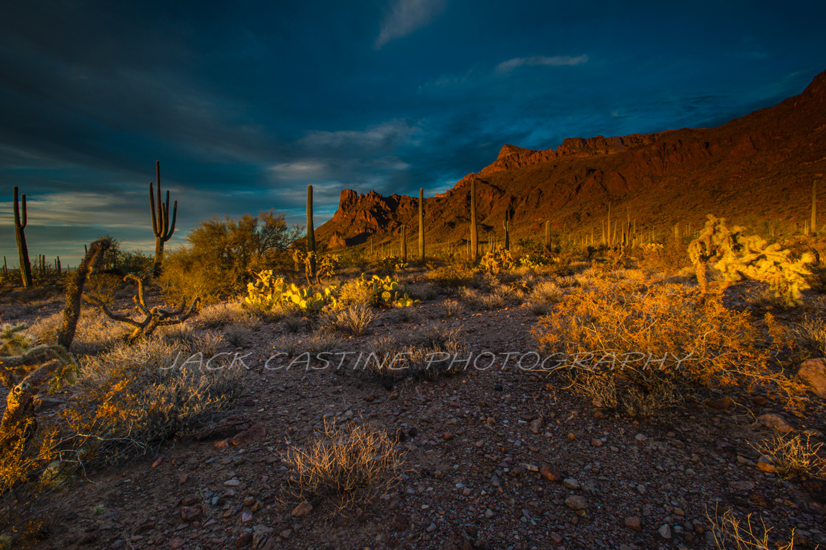  2018 03 03 - Sunset - Alamo Canyon - Organ Pipe Cactus National Monument - Ajo, AZ 