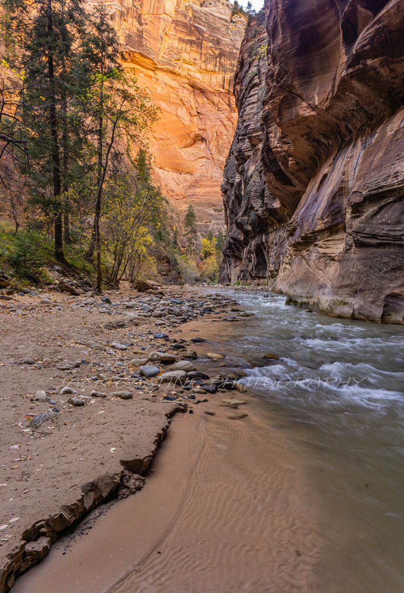  2016 11 09 - The Narrows of the Virgin River - Zion NP,  Springdale, UT 