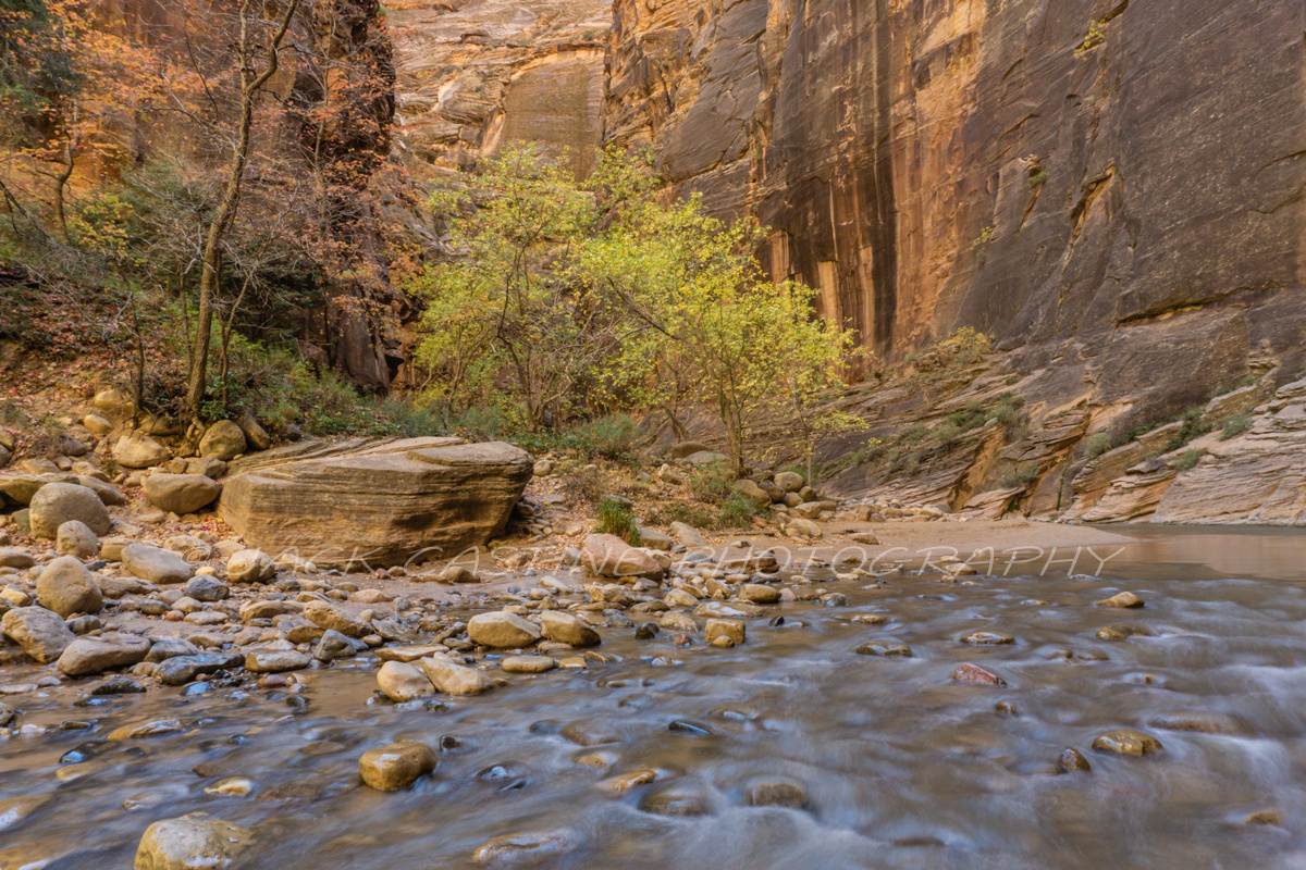  2016 11 09 - The Narrows of the Virgin River - Zion NP,  Springdale, UT 