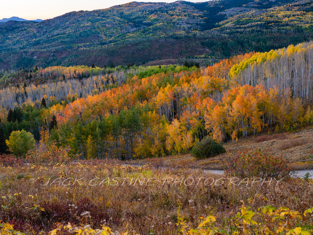  2018 09 21 - Fall Color - Buffalo Mountain Pass - Steamboat Springs, CO 
