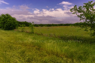  2020 04 19 - Texas Wildflowers - FM 636 - Powell, TX 