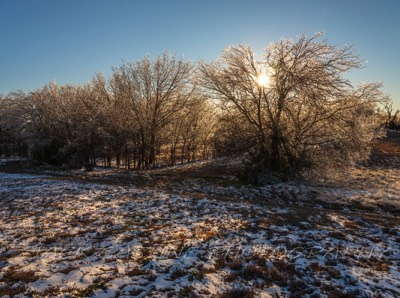  2022 02 04 - Ice Storm - Anna, Texas 