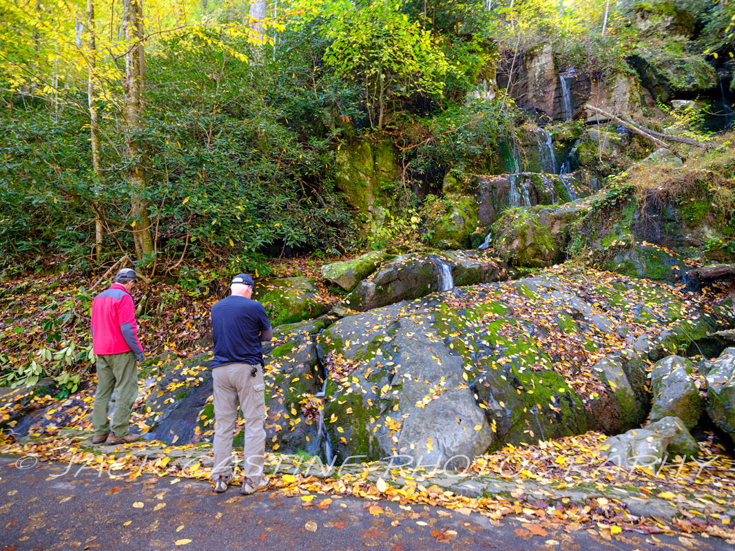  2021 11 01 - Place of a Thousand Drips - Smoky Mountains NP, Tennessee web  